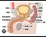 요도도 SM, BD도 절대 아프지 않기 때문에