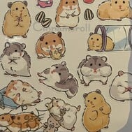 인감 수집 💕