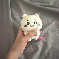 [공지 📣] 12시 시작으로 변경입니다 💕