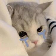 오늘 😭