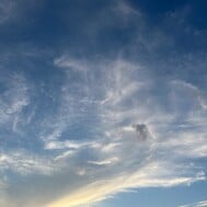 출근 예정