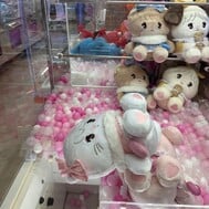출근했습니다! ฅ^•ω•^ฅ🎀