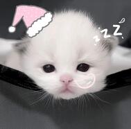 🎀 다음번🈳19:40~ 🎀