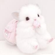 잘자요