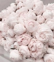 ♡후기 감사합니다♡