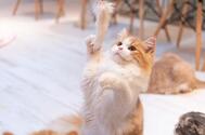 안녕하세요 🌞