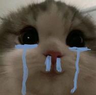 😖🙏🏻