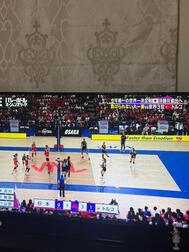 🇯🇵🏐