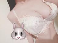 고양이가 될 수 있다면...🐱🎀