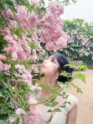 ⸜🌷︎⸝‍ 장미촬영🌹📸