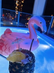 ⸜🌷︎⸝‍ 오늘도 감사합니다