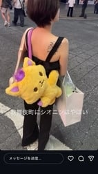 이것, 머리에 척 붙어 있기 때문에 가방? 포셰트? 같다.