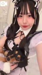 🐥
