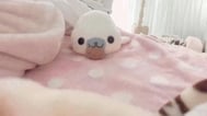푹신푹신( *´꒫`)
