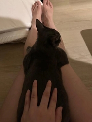 안녕하세요 🐈 잘자요
