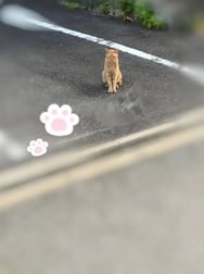 조용히 만났다 🐾 ♡