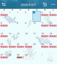 September🍧
