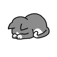 죄송합니다.