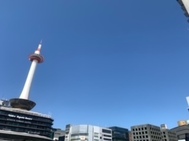 감사합니다 💌