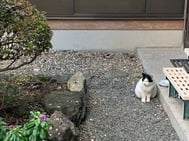 감사합니다 💌