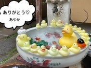 감사합니다 💌