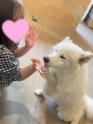 내일♡
