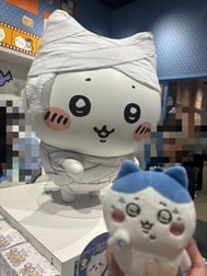 치이 활원정 종료