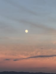 예쁘다~