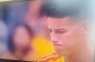 월드컵 ⚽