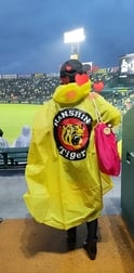 연패 🐯💓