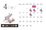 🌷예정 추가♡🌷