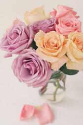 갑자기 변경해 주셔서 감사합니다 🌸