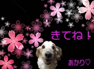이벤트 공지☆