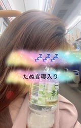 잠자리