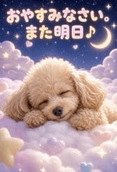 쉬세요