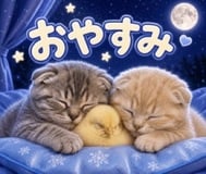 쉬세요