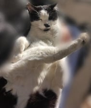 안녕하세요 💖️