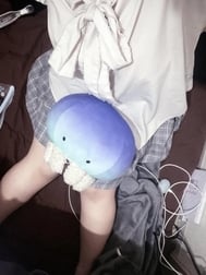 일정!