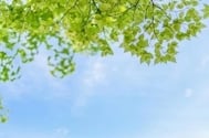 안녕하세요 ☀️