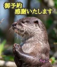 감사합니다♡