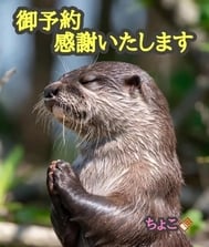 초대해 주셔서 감사합니다 ♡