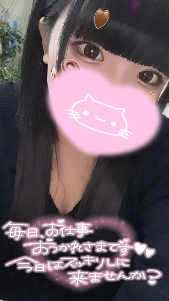 노코리 불과~