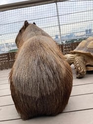 안녕하세요.