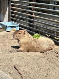 좋은 아침