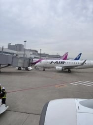 추격활
