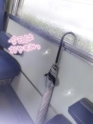 ✨ 비밀의. . .