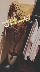 ✨ 변함없이. . . 🥹💚