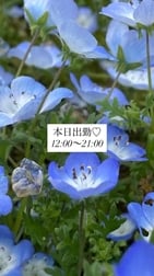 오늘 출근입니다!
