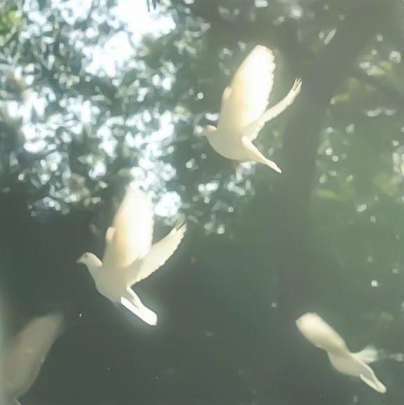 미츠키