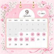 9월 후반 🗓🩷